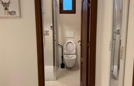 Pensiune turistică complet funcțională, cu saună rusească, zona Cacica, Suceava