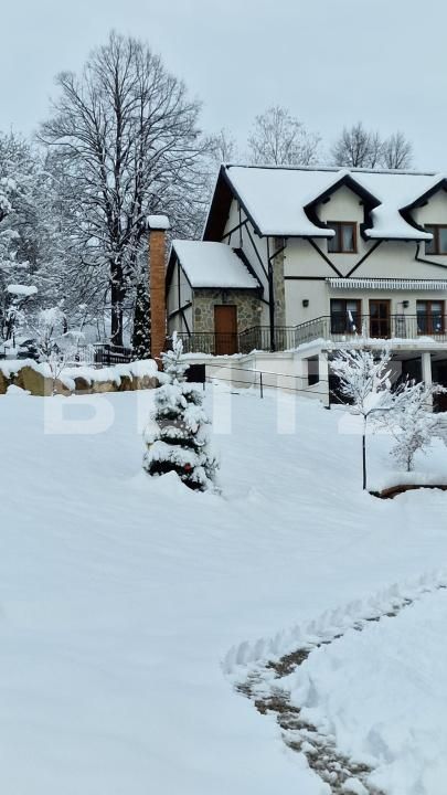 Spațiu comercial de vânzare Nord Vest - 183075SVC | BLITZ Suceava | Poza3