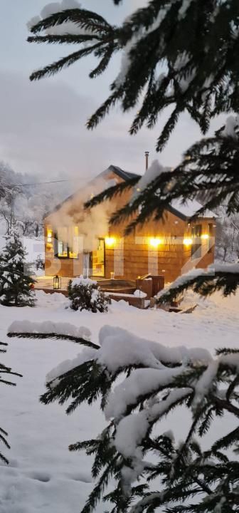 Spațiu comercial de vânzare Nord Vest - 183075SVC | BLITZ Suceava | Poza7