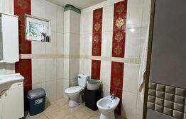 Casa individuala, 9.5 ari teren, zona Profi Sfantu Ilie