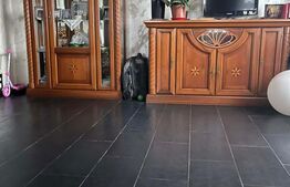 Casa individuala, 9.5 ari teren, zona Profi Sfantu Ilie