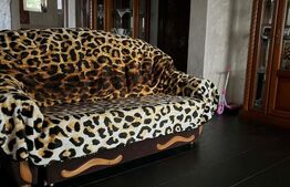 Casa individuala, 9.5 ari teren, zona Profi Sfantu Ilie