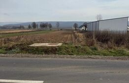 Teren intravilan, 1600 mp, front dublu, Mitocul Dragomirnei