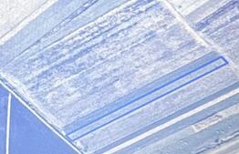 Teren extravilan , 5000mp, Radauti