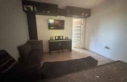 Casă tip Duplex, 300 mp utili, zona Zamca