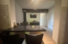 Casă tip Duplex, 300 mp utili, zona Zamca