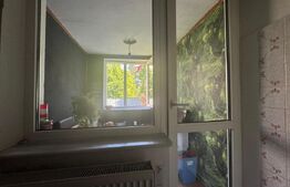 Casă tip Duplex, 300 mp utili, zona Zamca
