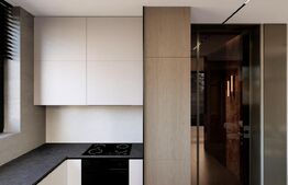 Casa moderna, 114.95 mp utili, finisaje premium, 324 mp teren - Burdujeni