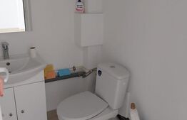 Spatiu comercial, 180 mp, parter, vitrina, zona Ultracentrala