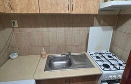 Garsoniera de inchiriat, etaj 1, cartier Burdujeni