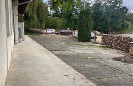 Spatiu comercial  multifunctional  de inchiriat, Cacica