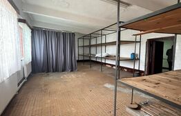 Spatiu comercial  multifunctional  de inchiriat, Cacica