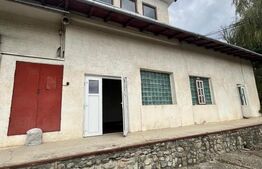 Spatiu comercial  multifunctional  de inchiriat, Cacica