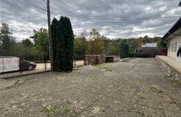 Spatiu comercial  multifunctional  de inchiriat, Cacica