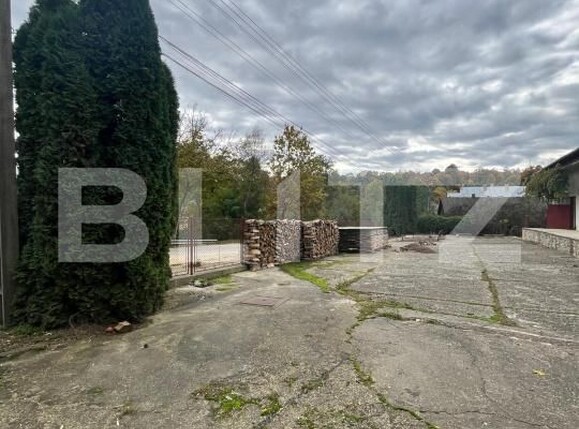 Spațiu comercial de închiriat Radauti - 184797SIC | BLITZ Suceava | Poza4