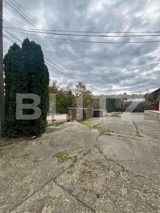 Spațiu comercial de închiriat Radauti - 184797SIC | BLITZ Suceava | Poza4