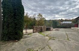Spatiu comercial multifunctional, 1592 mp, Cacica (Pirtestii de Sus)