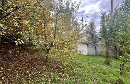 Spatiu comercial multifunctional, 1592 mp, Cacica (Pirtestii de Sus)