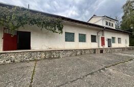 Spatiu comercial multifunctional, 1592 mp, Cacica (Pirtestii de Sus)