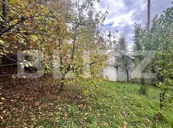 Spațiu comercial de vânzare Radauti - 184799SVC | BLITZ Suceava | Poza9