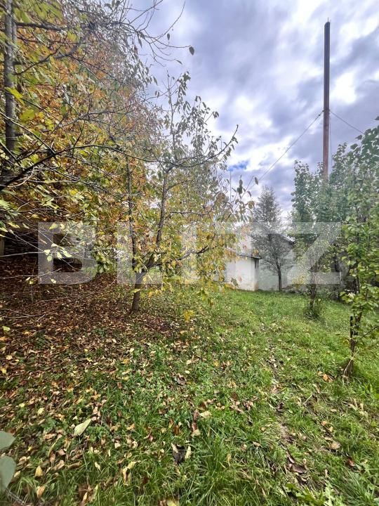 Spațiu comercial de vânzare Radauti - 184799SVC | BLITZ Suceava | Poza9