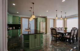 Casa exclusivista cu arhitectură unică, 320mp utili, Horodnic de Sus, Radauti