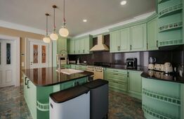 Casa exclusivista cu arhitectură unică, 320mp utili, Horodnic de Sus, Radauti