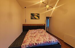 Casa 134mp, teren 430mp, Moara