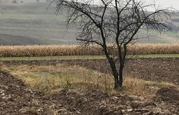 Casa batraneasca,partial renovata,loc. Meresti,3400mp teren