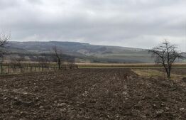 Casa batraneasca,partial renovata,loc. Meresti,3400mp teren