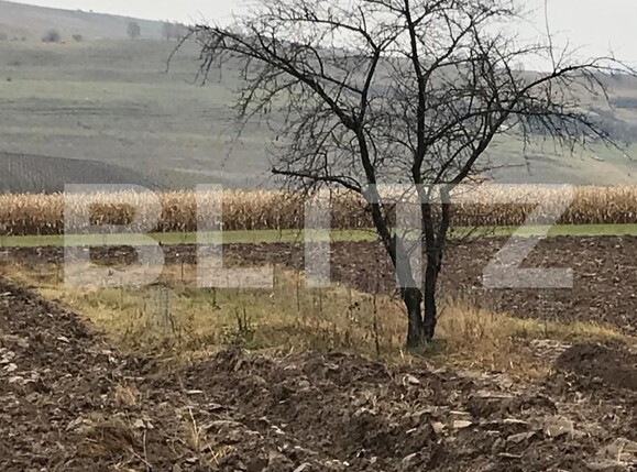 Casa de vânzare 3 camere Exterior Sud - 184995CV | BLITZ Suceava | Poza21