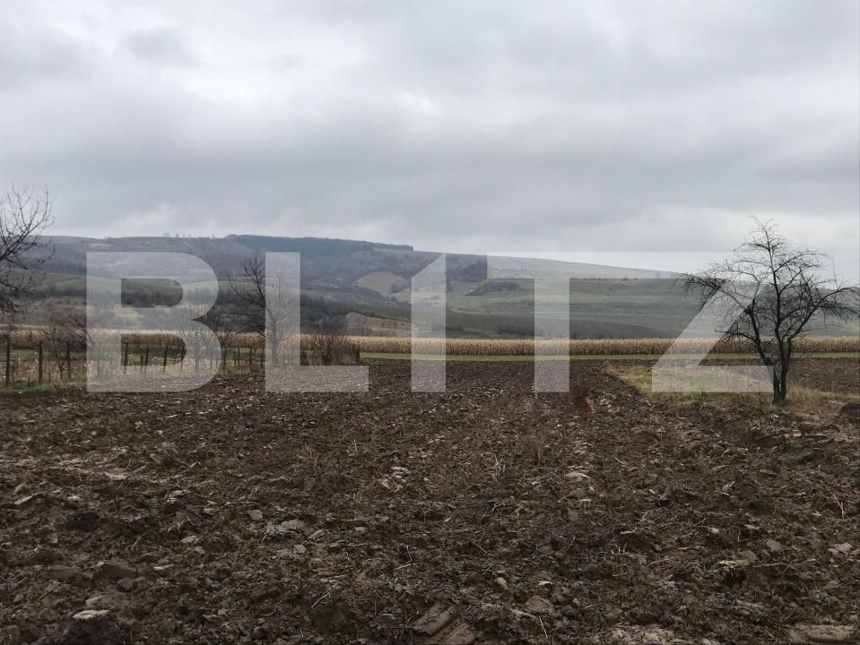 Casa de vânzare 3 camere Exterior Sud - 184995CV | BLITZ Suceava | Poza18