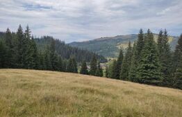 Teren de vânzare – Vatra Dornei, Str. Foresta