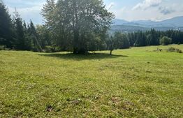 Vânzare teren intravilan de 2 hectare, în Pasul Tihuța