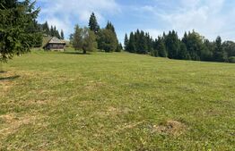 Vânzare teren intravilan de 2 hectare, în Pasul Tihuța