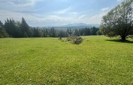 Vânzare teren intravilan de 2 hectare, în Pasul Tihuța