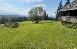 Vânzare teren intravilan de 2 hectare, în Pasul Tihuța