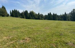 Vânzare teren intravilan de 2 hectare, în Pasul Tihuța