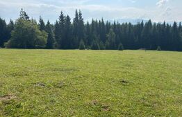 Vânzare teren intravilan de 2 hectare, în Pasul Tihuța