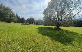 Vânzare teren intravilan de 2 hectare, în Pasul Tihuța