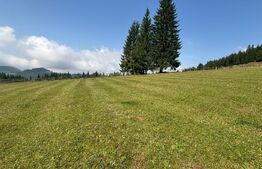 Vânzare teren intravilan de 2 hectare, în Pasul Tihuța