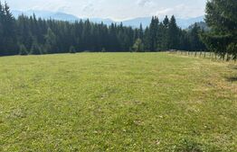 Vânzare teren intravilan de 2 hectare, în Pasul Tihuța