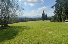 Vânzare teren intravilan de 2 hectare, în Pasul Tihuța