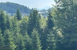 Vânzare teren intravilan de 2 hectare, în Pasul Tihuța