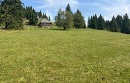 Vânzare teren intravilan de 2 hectare, în Pasul Tihuța