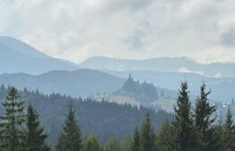 Vânzare teren intravilan de 2 hectare, în Pasul Tihuța