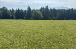 Vânzare teren intravilan de 2 hectare, în Pasul Tihuța