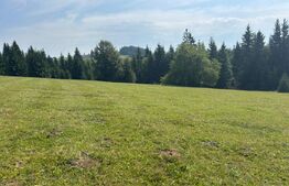 Vânzare teren intravilan de 2 hectare, în Pasul Tihuța