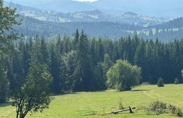 Vânzare teren intravilan de 2 hectare, în Pasul Tihuța