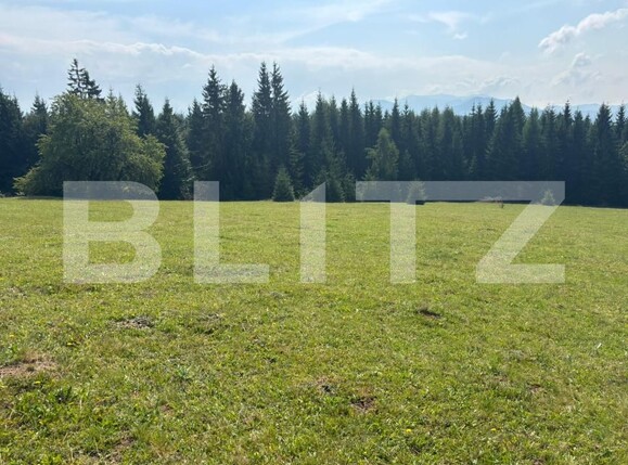 Teren de vânzare Exterior Vest - 185043TV | BLITZ Suceava | Poza10